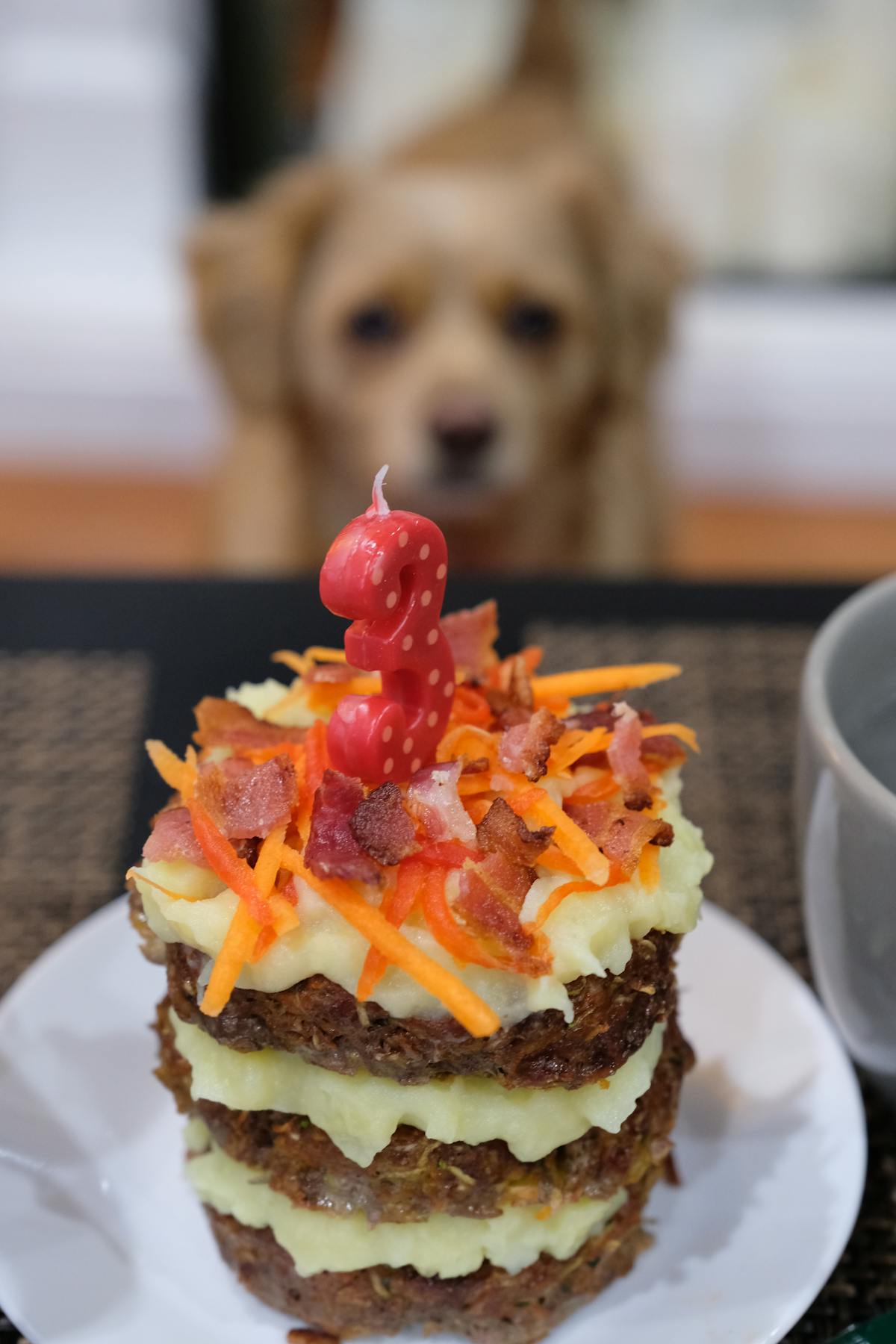 A professionally decorated dog birthday cake with dog-safe ingredients