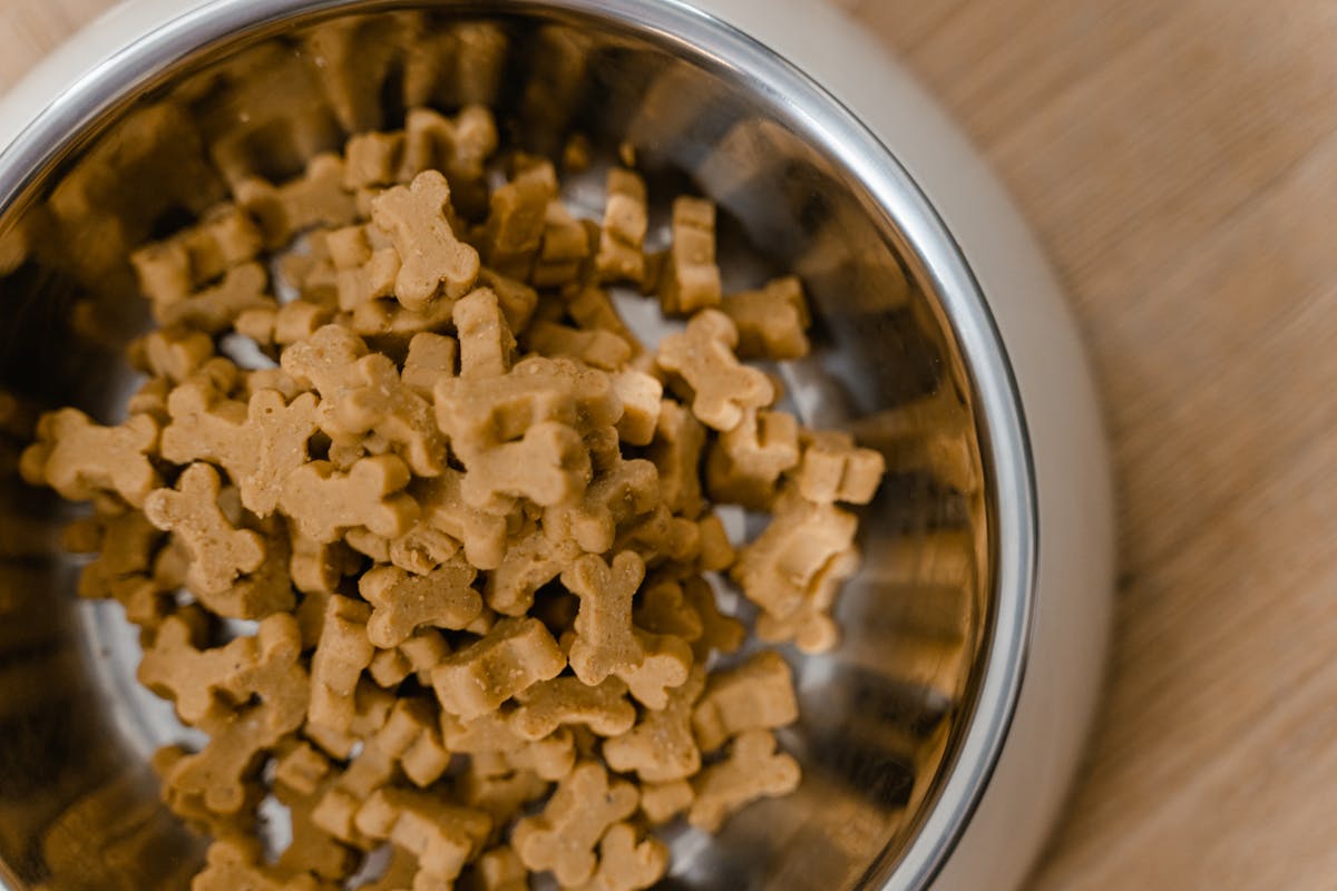 Close-up of small biscuit-shaped dog treats in a bowl next to a small wrapped gift