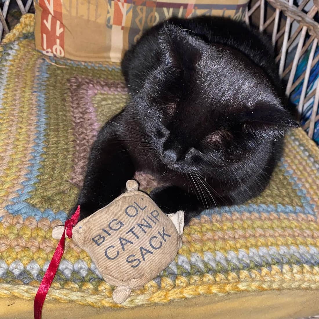 A black cat lying on a crocheted blanket with a handmade fabric catnip sack toy