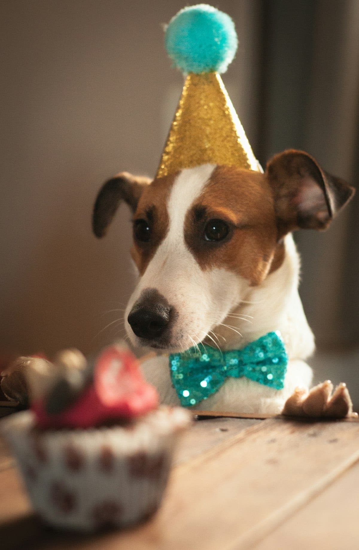 Golden retriever wearing a colorful birthday bandana sitting next to a smash cake outdoors