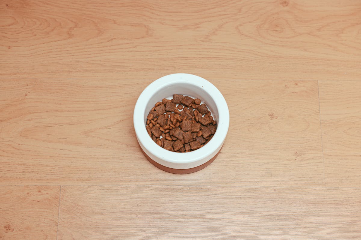Assorted bone-shaped dog treats arranged on brown paper top-down view