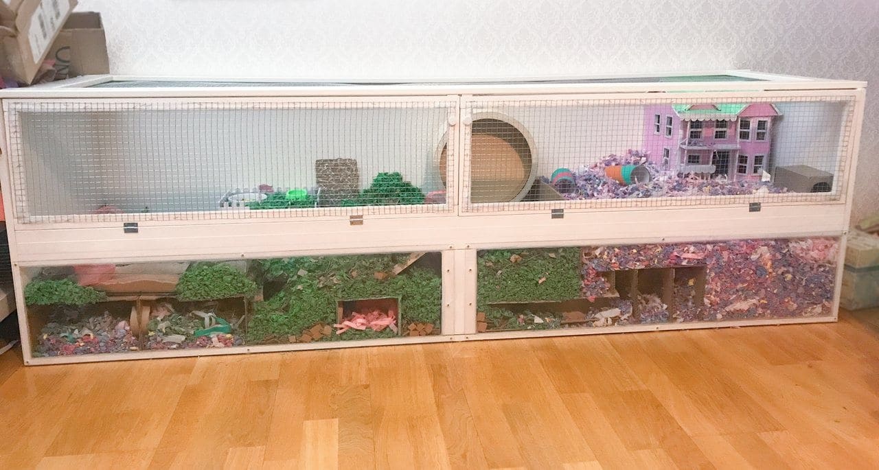 A long low home-built hamster enclosure with mesh sides, deep bedding, tunnels and multiple levels standing on a wooden floor
