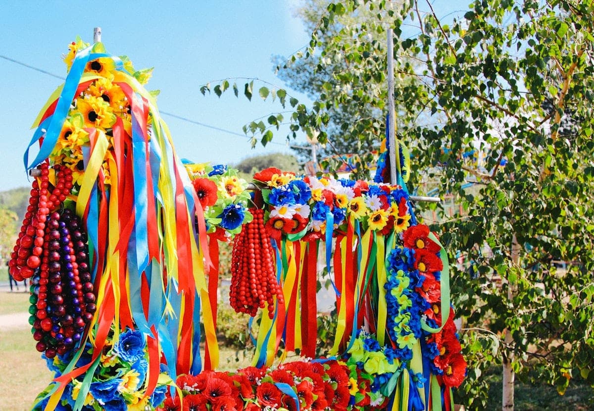 A horse in a paddock looking at the camera with a birthday setup visible in the background