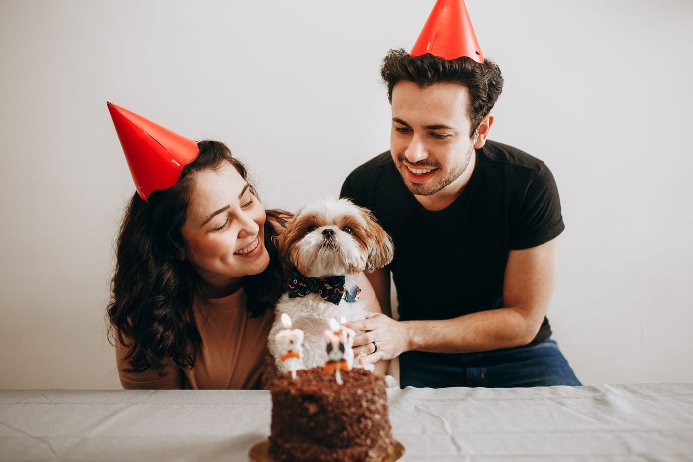 Couple in paper party hats sitting with a small dog behind a decorated cake