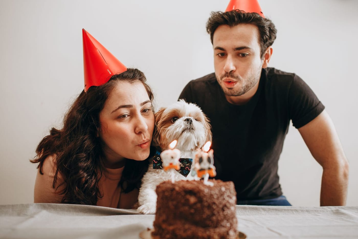 Couple wearing paper party hats leaning towards a small dog beside a cake
