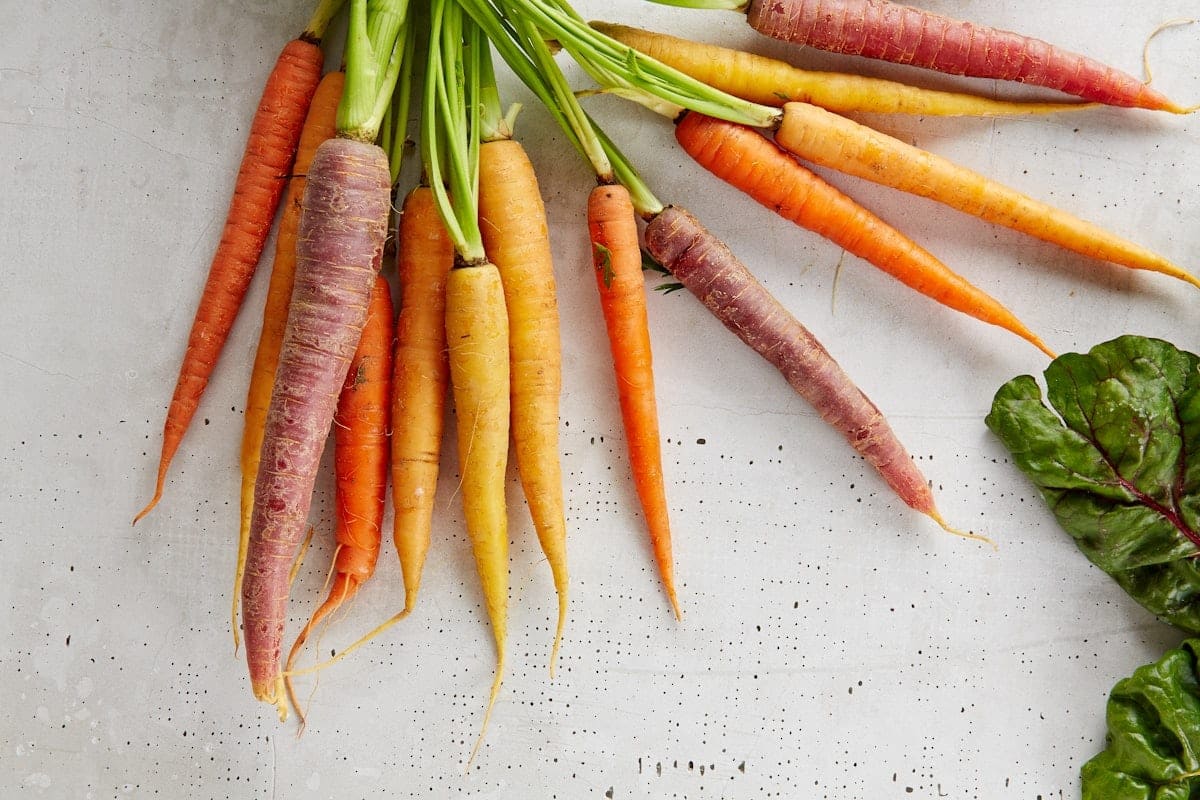 A bunch of fresh carrots, a pet-safe treat