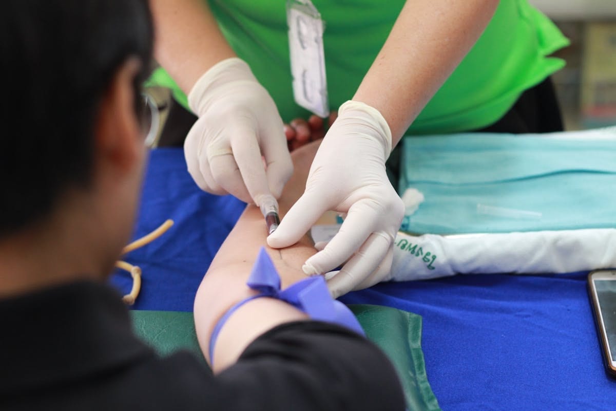 Spread of dog-safe fruits and vegetables including carrots, blueberries, apple slices, and banana on a wooden cutting board